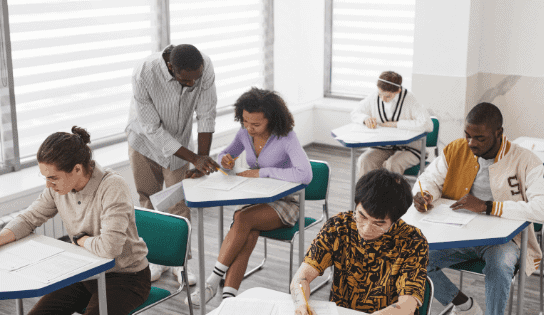 The roles of Transition coordinators